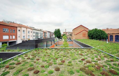 Spectacular Living Roofs in Detail