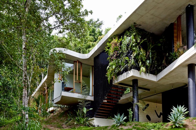 ʿסլ Planchonella House by Jesse Bennett