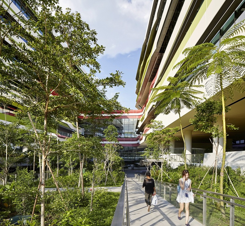 ¼¿Ƽƴѧ Singapore University of Technology and